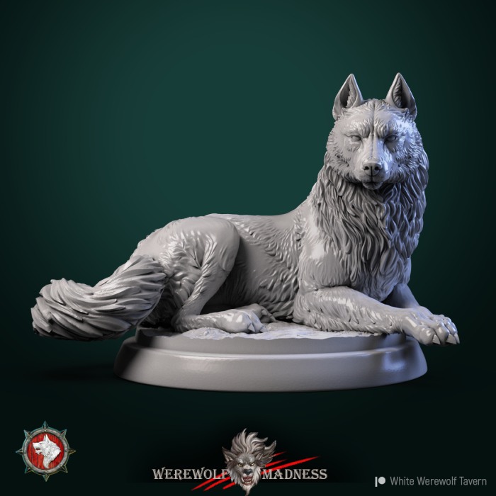 HCT 547. Wolves [5]