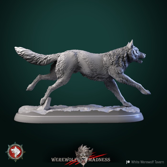 HCT 547. Wolves [3]