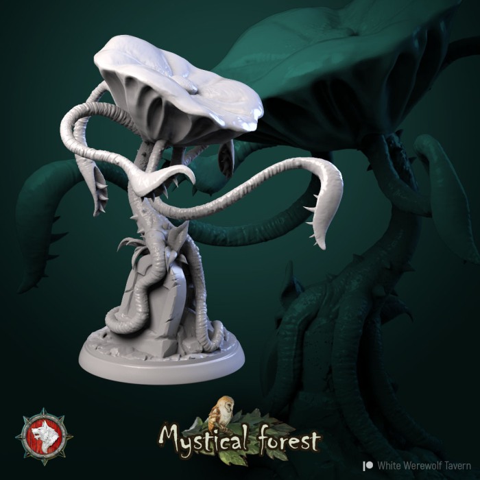 HCT 560. Mushrooms [7]