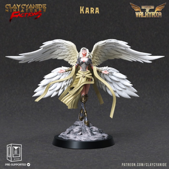 HCT 580. Kara [1]