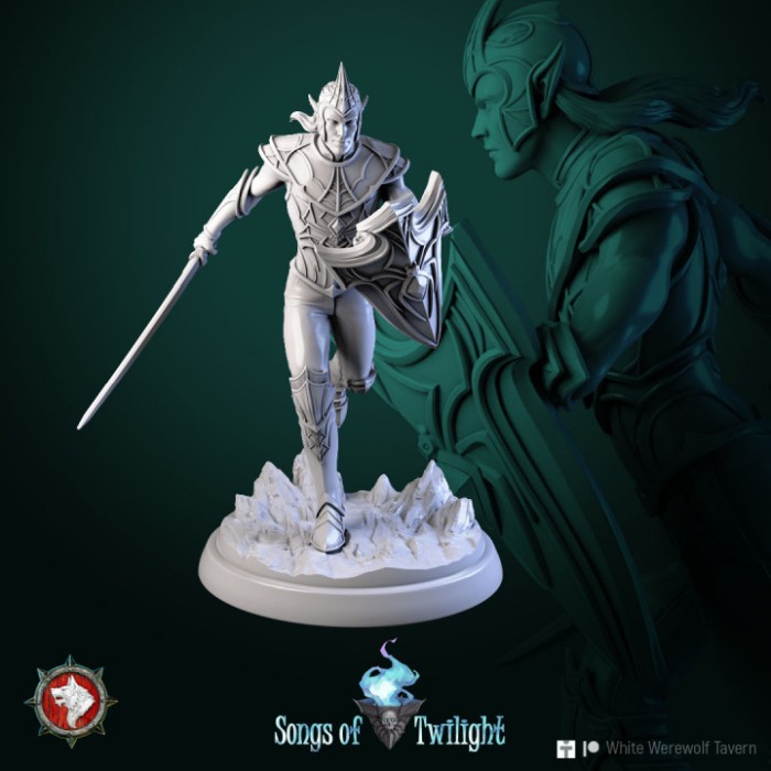 HCT 606. Drow Warriors set 6 miniatures [7]