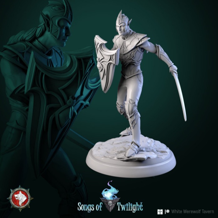 HCT 606. Drow Warriors set 6 miniatures [6]