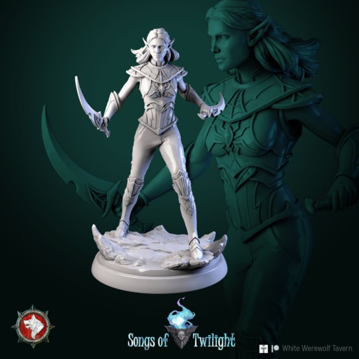 HCT 607. Drow Assassins females set 6 miniatures [6]