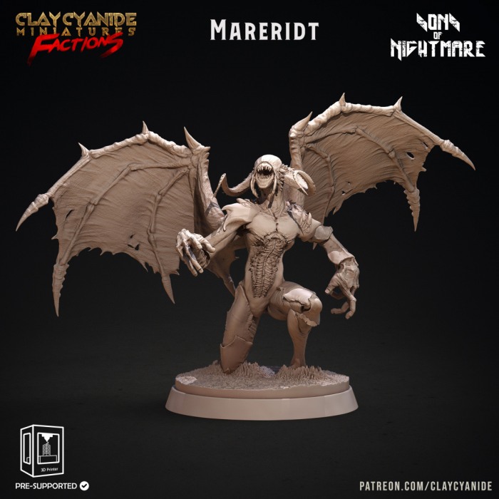 HCT 616. Mareidt [1]