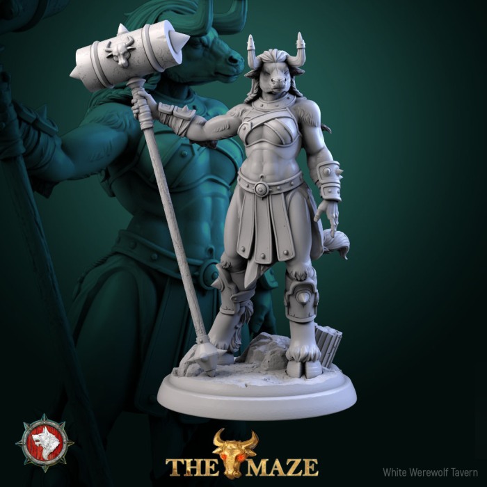 HCT 706. Beastman Females set [6]
