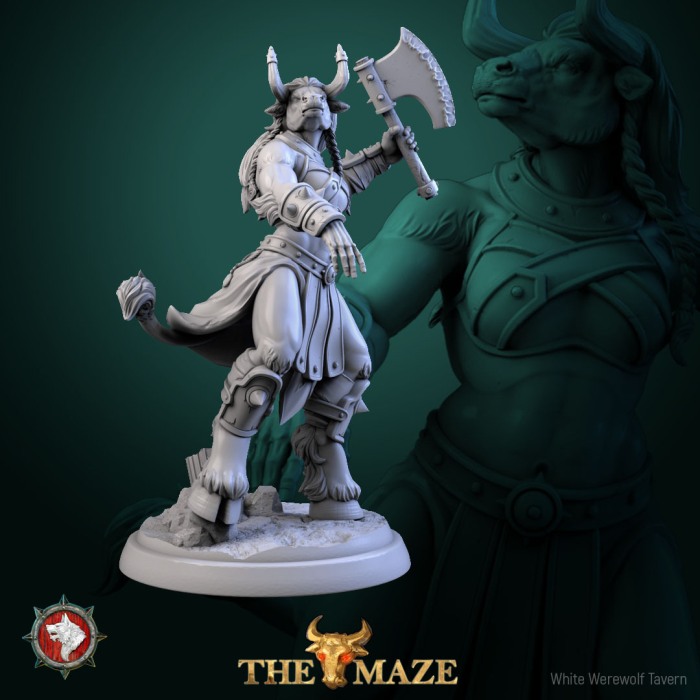 HCT 706. Beastman Females set [2]