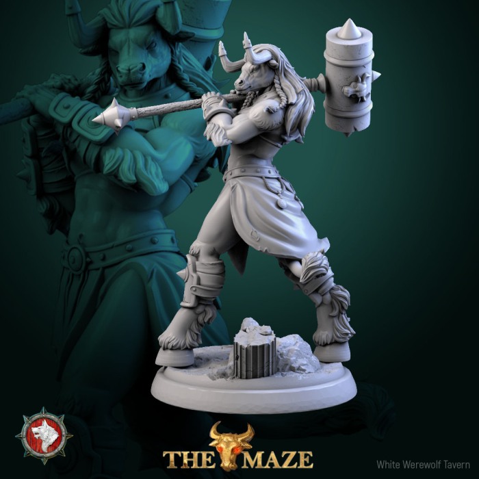 HCT 706. Beastman Females set [4]