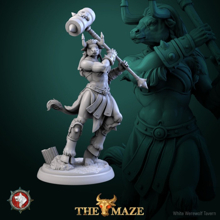 HCT 706. Beastman Females set [7]