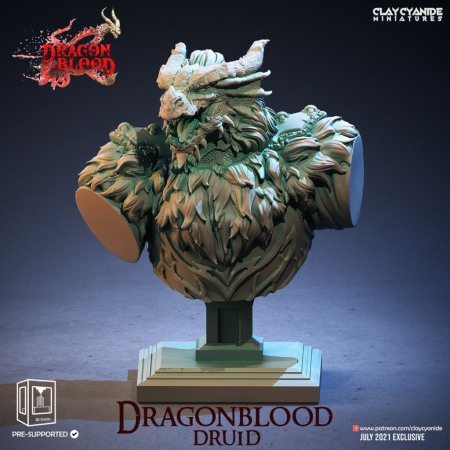 Busturi - HCB 102. DragonWolf Druid
