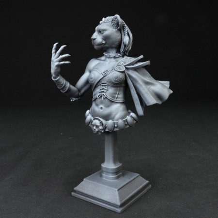 HCB 122. Auria Tabaxi Female [2]