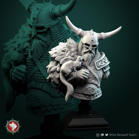 Busturi - HCB 177. Kolgrim Viking