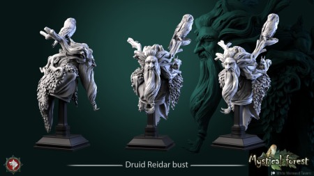 HCB 179. Reidar the Druid [1]