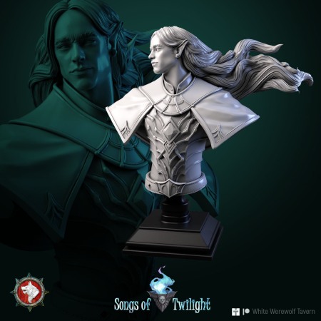 HCB 189. Drow Warlord [2]