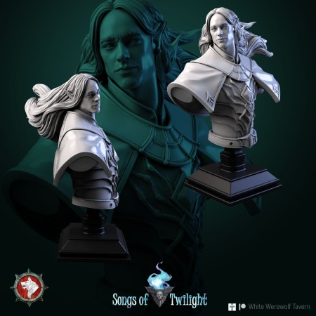 HCB 189. Drow Warlord [1]