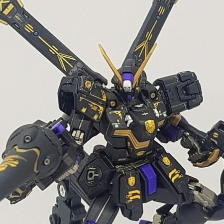 HCD0442. RG CROSSBONE X2 GOLD HOLO WATER DECAL