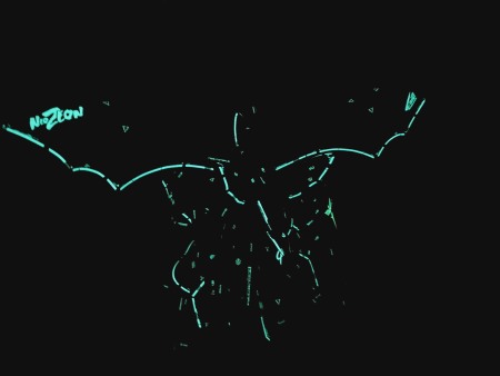 HCD0742. HG NIGHTINGALE WATER DECAL (LUMINOUS) [12]