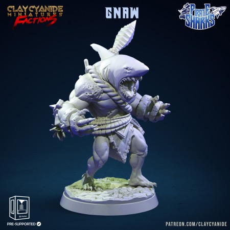 HCF 020. Shark Pirates [13]