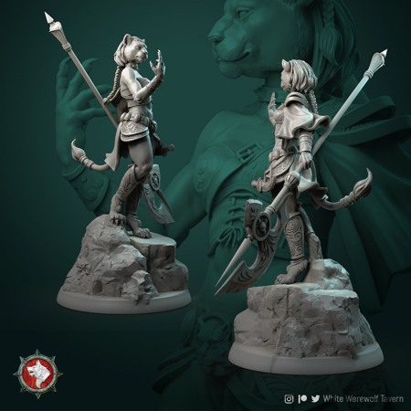 HCM 211. Auria_Tabaxi_Female [4]