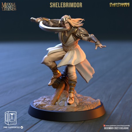 Miniaturi - HCM 426. Shelebrimdor