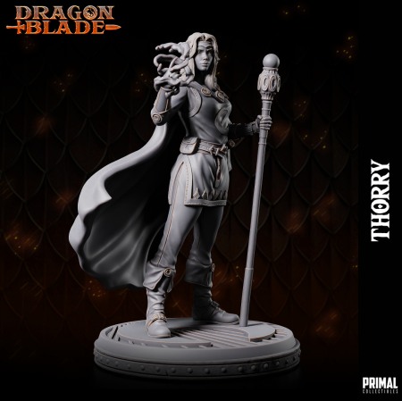 HCM 539 Thorry [3]