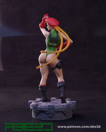 HCS0009. Cammy [3]