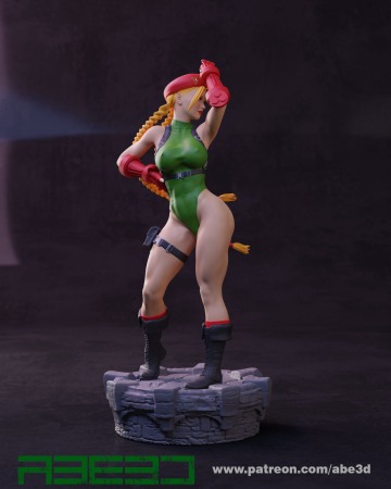 HCS0009. Cammy [4]