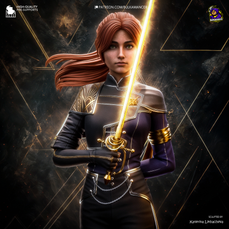 Gaming - HCSG0323 Fencer Expedition 33