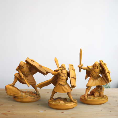 Miniaturi - HCT 292. Paladins