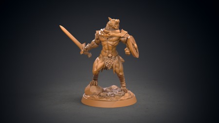 Miniaturi - HCT 302. Chester