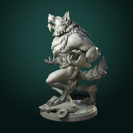Miniaturi - HCT 331. Furious Werewolfs