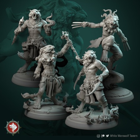 Miniaturi - HCT 364. Tabaxi Warriors