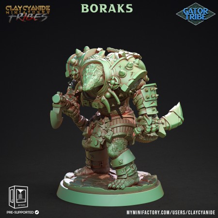Miniaturi - HCT 427. Boraks