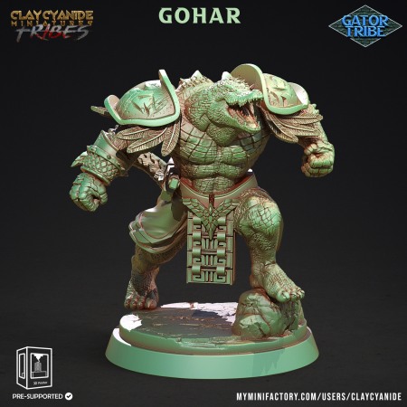Miniaturi - HCT 428. Gohar