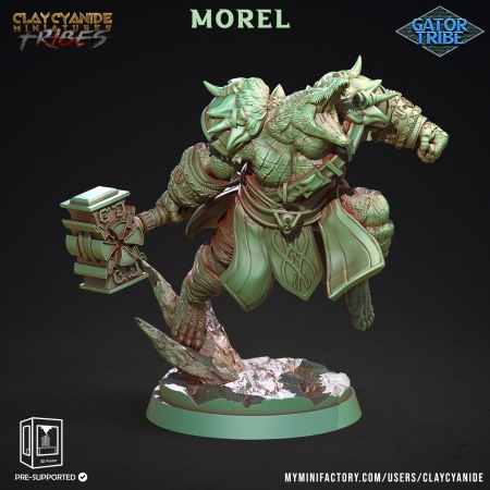 Miniaturi - HCT 433. Morel