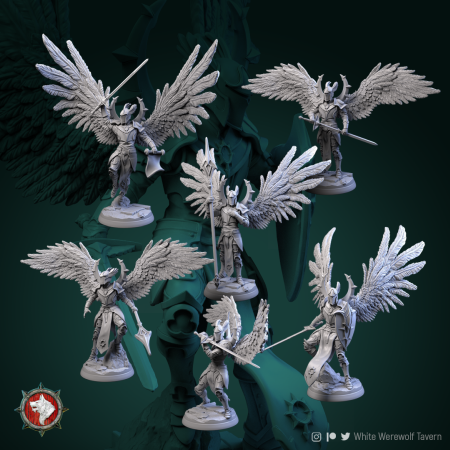 Miniaturi - HCT 488. Celestial Knights