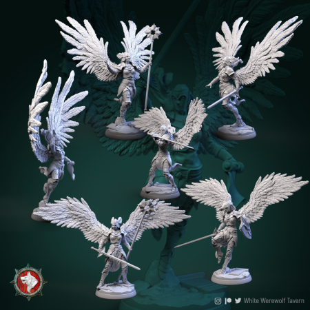 Miniaturi - HCT 489. Valkiries