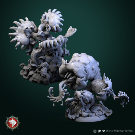 HCT 490. Predatory flowers [1]