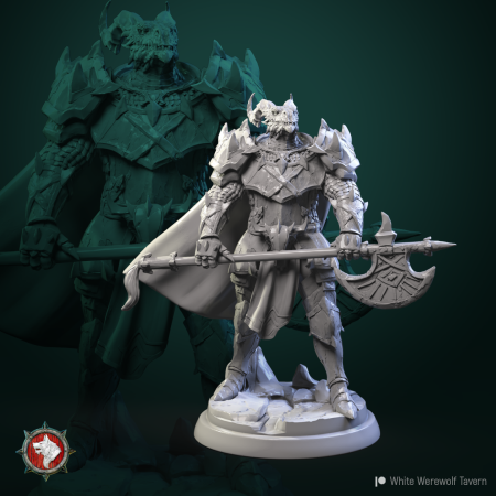 HCT 492. Dragonborn knights [1]