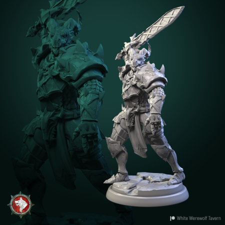 HCT 492. Dragonborn knights [5]