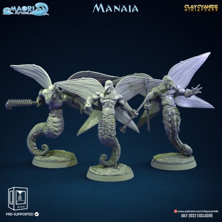 Miniaturi - HCT 510. Manaia