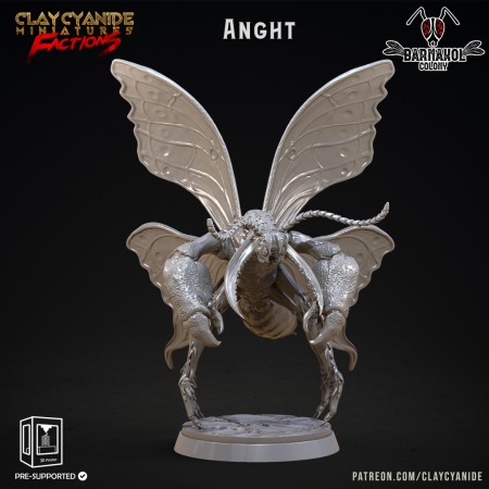 Miniaturi - HCT 528. Anght