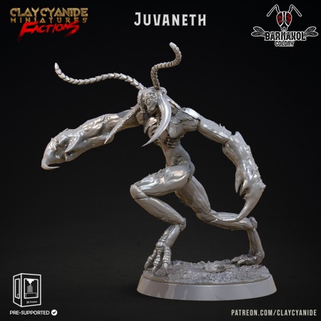 Miniaturi - HCT 535. Juvaneth