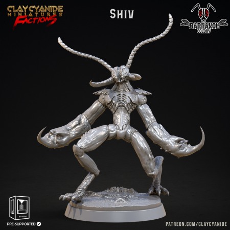 Miniaturi - HCT 536. Shiv