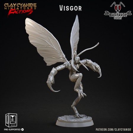 Miniaturi - HCT 537. Visgor