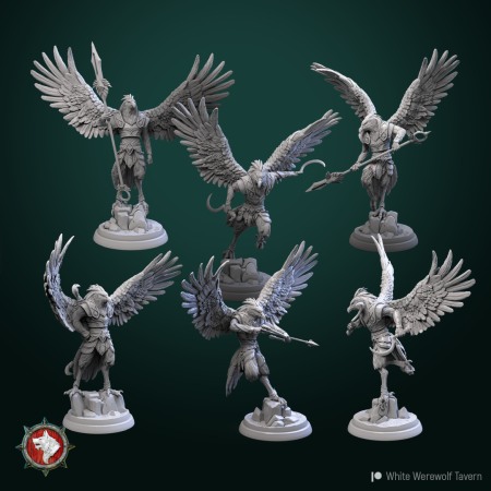 Miniaturi - HCT 539. Aaracokra Warriors