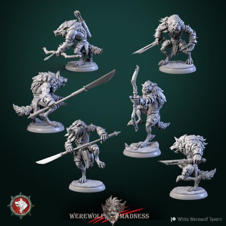 Miniaturi - HCT 545. Werewolves
