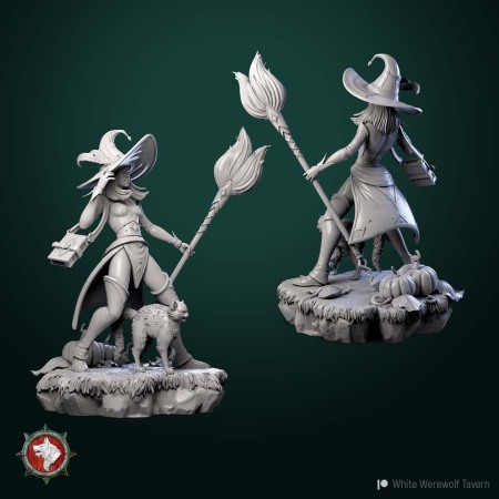 HCT 555. Hallowen Witch [1]