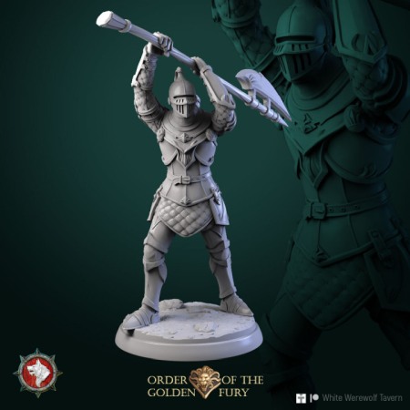 HCT 595. Knights 6 miniatures [1]
