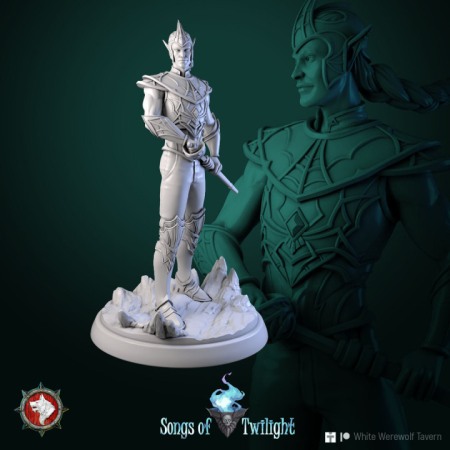 HCT 606. Drow Warriors set 6 miniatures [2]