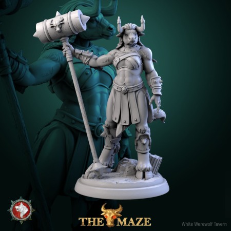 HCT 706. Beastman Females set [5]